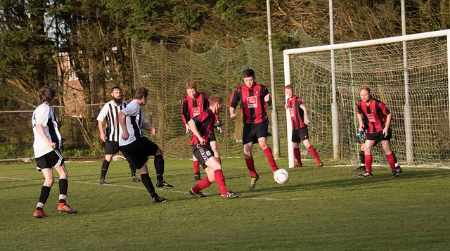 阶段表现的 阶段表现的